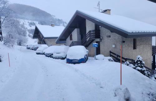 Face au glacier - Photo 31