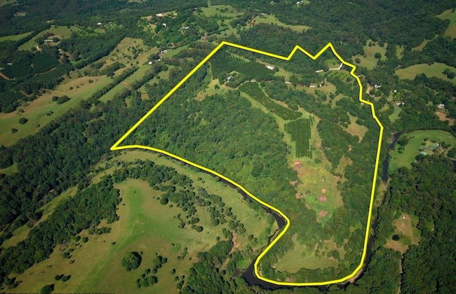 Riverbend Byron Hinterland Retreat - Foto 22