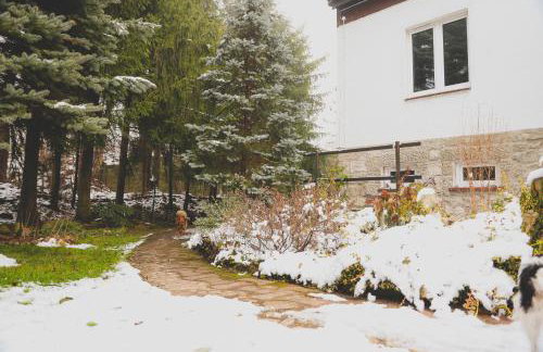 Szczytny Zakątek Apartamenty - Foto 38