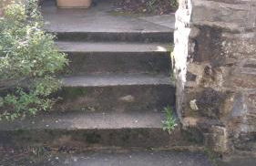 les mouettes - Foto 19