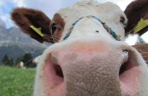 Holiday Apartment Heitmann - Photo 35