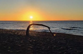 Greta's House - Foto 25