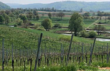 Ferienwohnung am Gässle - Foto 46