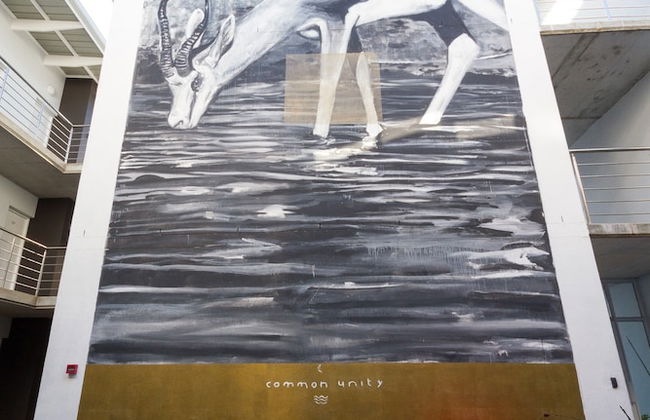 WINK Quiver Tree - Foto 43