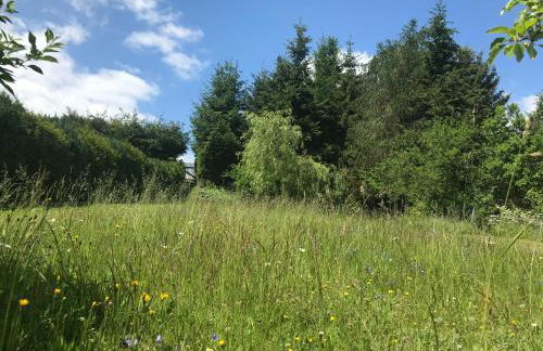 Unterkunft bis 7 Personen in Ilmenau Oehrenstock - Foto 19