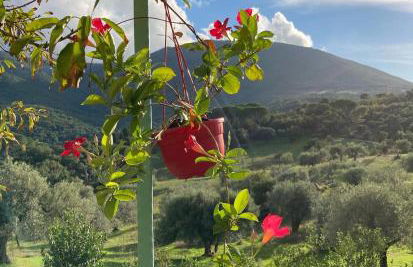 Agriturismo Is Conchisceddas - Foto 38