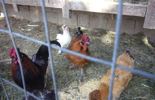 Su Barroccu - Foto 4