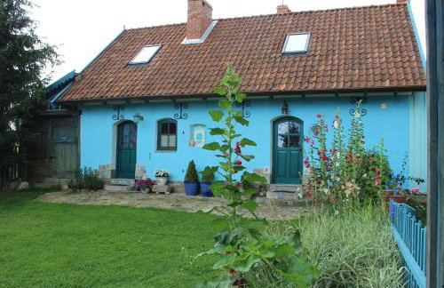 Pod tulipanem nad jeziorem - Foto 20