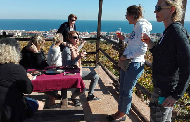 Wine Tour in Manilva - Foto 6