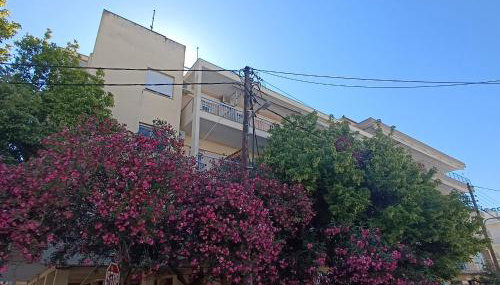 apartmentsMakedonias - Foto 4