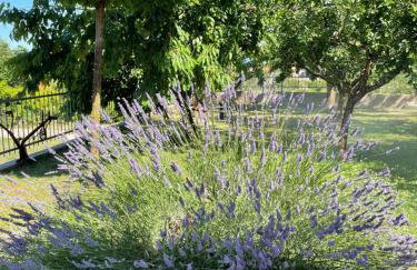 Villa Duje - Photo 39