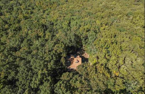 Catskill Cabin with Firepit & Indoor Jacuzzi Tub - Foto 46