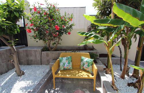 ViVa Tropical - Foto 10