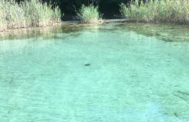 -Ortaflats- Appartamenti Imbarcadero & Palazzotto - Photo 55