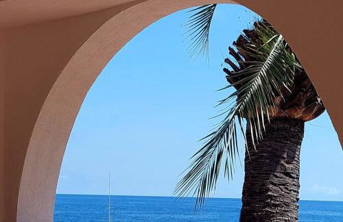 Villa de prestige en bord de mer dans la baie de Cannes - Foto 49