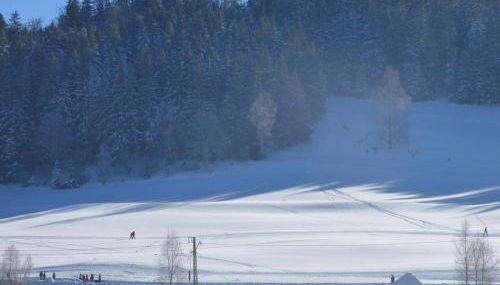 Ferienwohnung Seeblick Nr 1 ,Feldberg Bärental - Foto 2