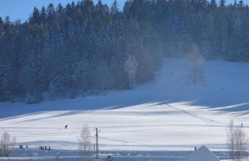 Ferienwohnung Seeblick Nr 1 ,Feldberg Bärental - Foto 2