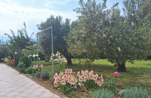 Apartments Donadic I, Caska - Photo 57