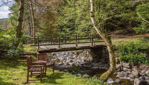 Tinkerbell - Photo 3