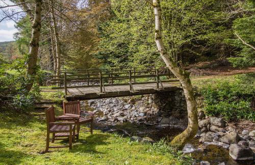 Tinkerbell - Foto 10