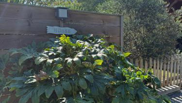 La cabane d' Esting - Foto 3