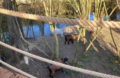 Au Domaine du Prédieu - Foto 23