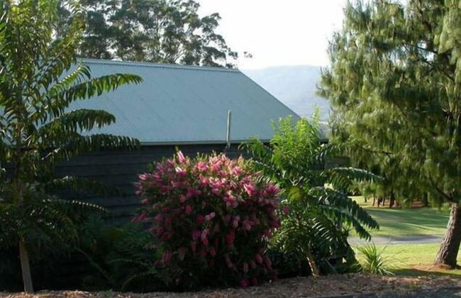 Greenwood Cabin in Kangaroo Valley - Foto 11