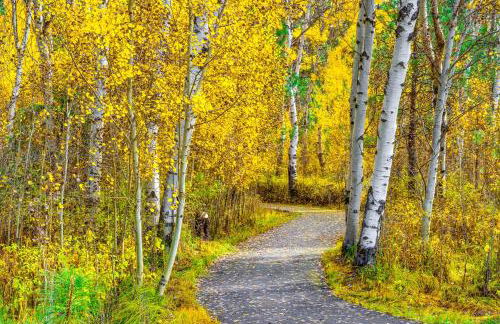 Three Sisters Hideaway - Foto 46