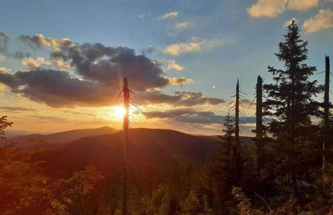 Welcoming Chalet Near Forest in Rohrnbach - Foto 65