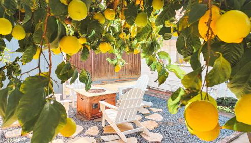 Old Fig House - Historic Fig Garden Neighborhood - Foto 5