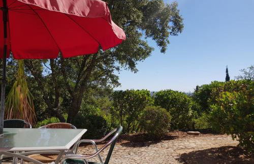 Monte-Bougainvillea - Foto 79