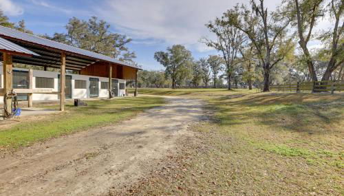 Morriston Studio 13 Mi to World Equestrian Center - Foto 3