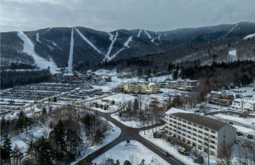 208 Village Gate condo - Foto 34