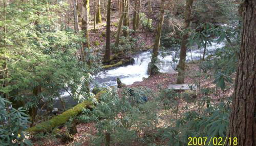 Garden of Eden Cabins - Photo 3