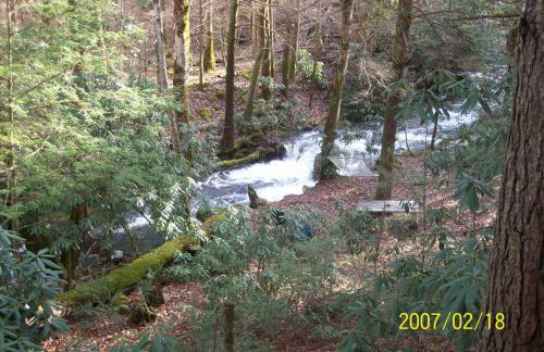 Garden of Eden Cabins - Photo 3