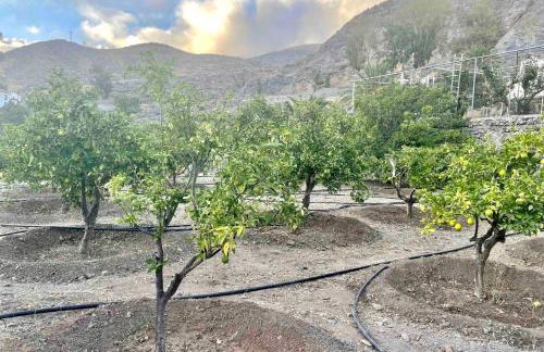 casa rural LA LIMERA con piscina privada - Foto 56