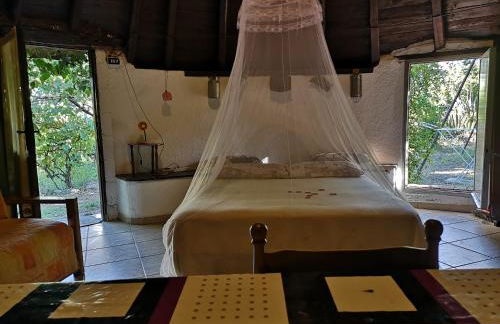 Pinnettu sardo tipica abitazione sarda in ecosistema insetti e animaletti simpatici in condivisione bagno esterno a 10metri Leggere attentamente Prima di prenotare - Foto 23