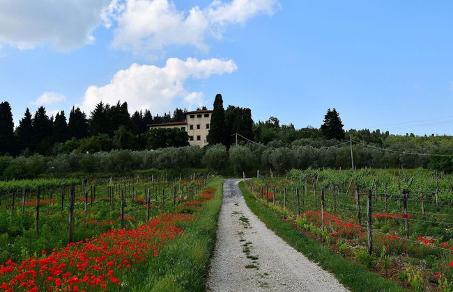 Rustic Elegance Near Florence - Foto 52