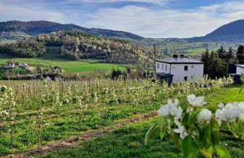 Owocowe Wzgórze - Foto 40