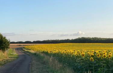 Rustic cottage with stunning swimming pool - Foto 31