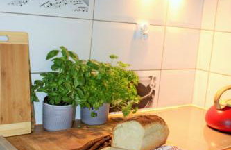 PIZUNY Dom pod dębem z balią na wyłączność - Foto 30