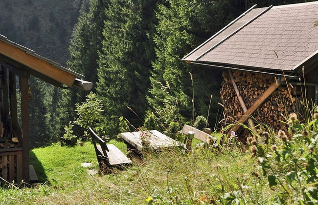 Chalet in Kolbnitz Near Ski Slopes - Photo 14