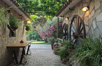 Catalunya Casas An oasis for up to 26 nature loving guests! - Photo 5