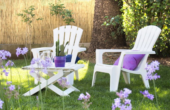 Mondello Martini - Foto 36