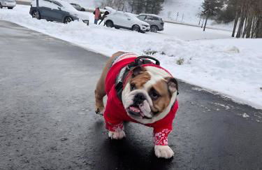 Dúplex La Molina - Foto 18