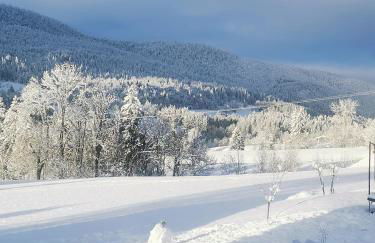 Charmant appartement de montagne avec balcon - Foto 16