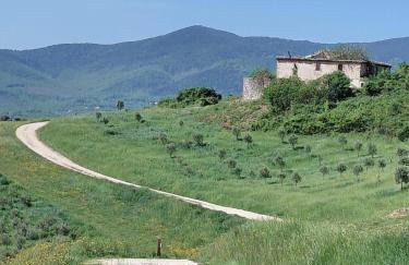 Casa Oliva - Foto 5