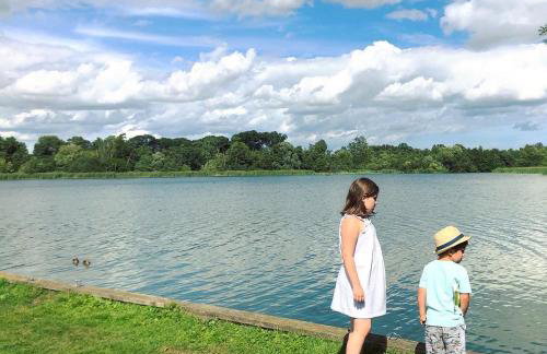 Dog friendly cottage on the edge of the Norfolk Broads - Foto 5