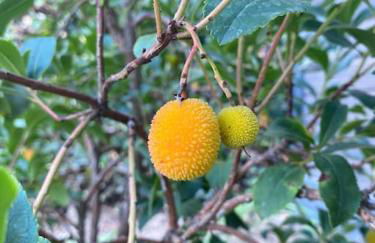 L'échappée créative - Foto 40