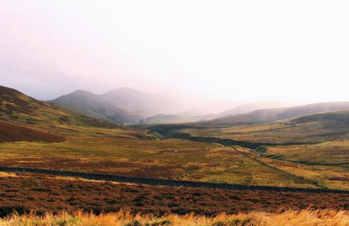 Beautiful and Bright Georgian Style Morningside Apartment - Pass the Keys - Foto 15